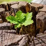 Seelen-Coaching als alternative zur Psychotherapie